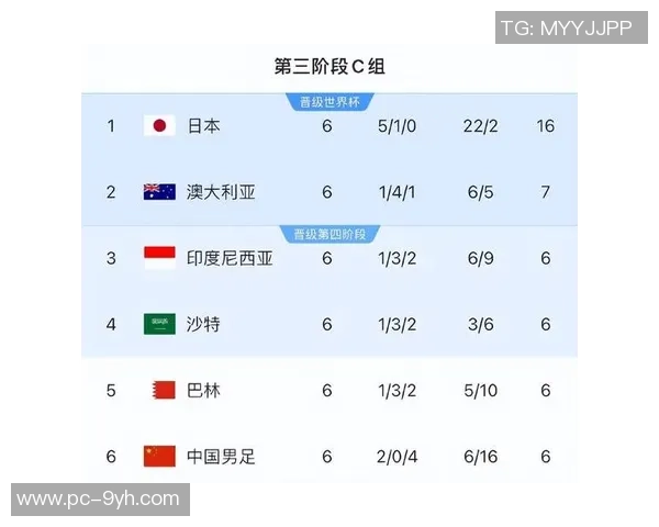 足球杯结果揭晓各队表现分析及未来赛程展望