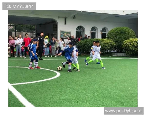 足球场上的意外风波与惹祸事件的背后故事 足球场上的意外风波与惹祸事件的背后故事