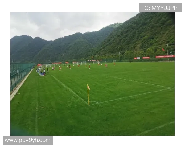 陕西足球的辉煌历程与发展现状探讨 陕西足球的辉煌历程与发展现状探讨