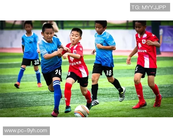 足球限高政策的实施对青少年足球发展的影响与未来展望